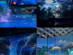 -海合安武汉极地海洋公园