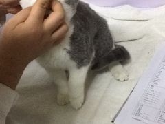 -惠康宠物医院(华能路店)