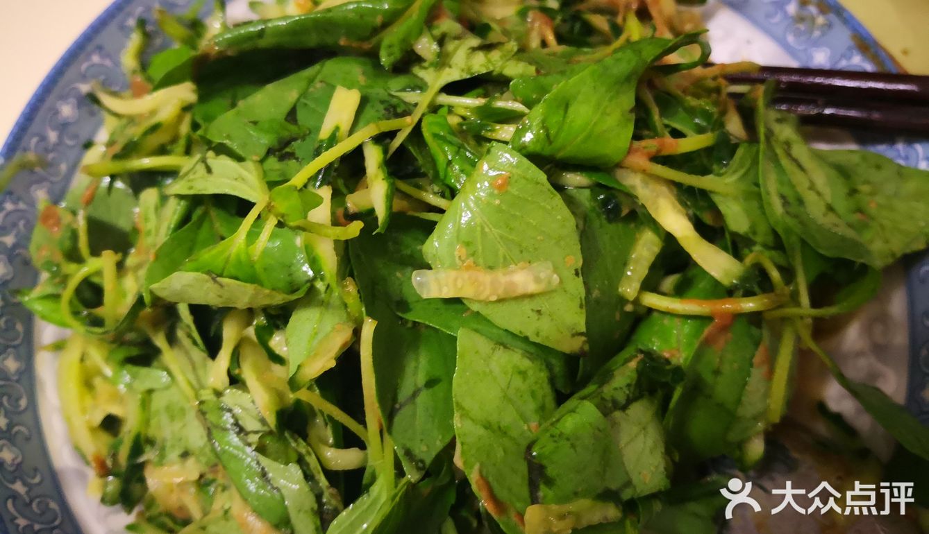 家常凉拌菜系之超好吃的黄瓜拌荆芥