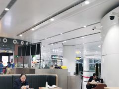 -麦当劳(北京大兴机场二层国内到达(安检外)店)