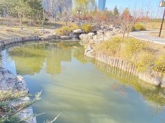 -西海子公园