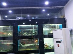 -全乐鱼馆·淳牌有机鱼直营店