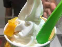 -Salud撒露欧洲冻酸奶(蓝色港湾店)