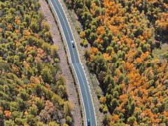 -塞罕坝国家级自然保护区