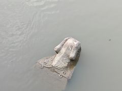 -七桥瓮公园