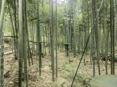 -众神白水涧景区