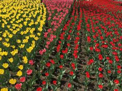 -长春公园(普阳街道)