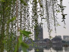 -眉山湿地公园(东坡区)