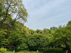 -杭州植物园