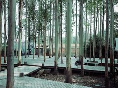 -桉树林A coffee 森林餐厅(三圣乡店)