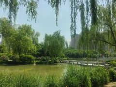 -木塔寺遗址生态公园