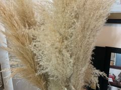 -三味书屋(复兴门内大街店)