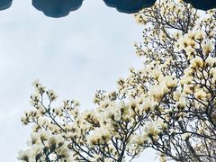 -北京石刻艺术博物馆