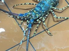 -班赞海鲜市场