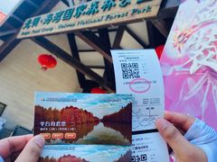 -上海海湾国家森林公园