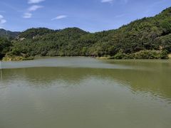 -广州白江湖森林公园