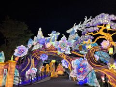 -淄博花灯齐彩城