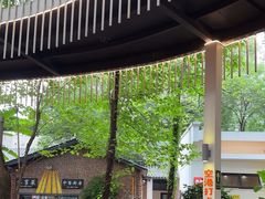 -二荆条·城市森林火锅旗舰店