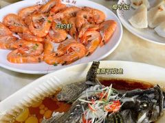 -亚龙湾热带天堂森林公园