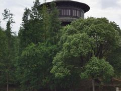 -八大山人梅湖景区