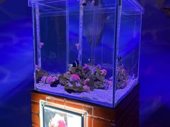 -太平洋海底世界