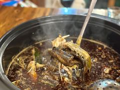 鳝鱼-金海椒罐罐鲢鱼(东方桂苑店)