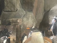 -香港海洋公园