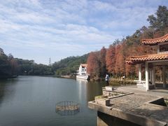 -深圳仙湖植物园-停车场