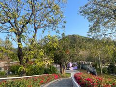 -云溪植物园