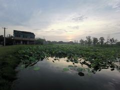 -梁鸿国家湿地公园