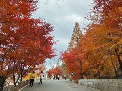 -崂山九水游览区