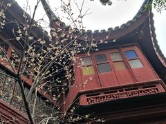 -东山雕花楼