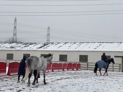 -北京群众马术培训基地