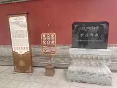 -塔尔寺-菩提树