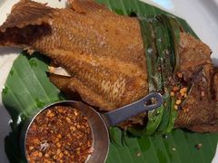 -Aqua Oasis 水天堂(常熟永旺店)