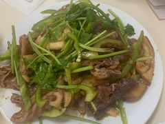 -永存驴肉(桃园店)