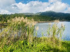 -海南热带雨林国家公园吊罗山景区