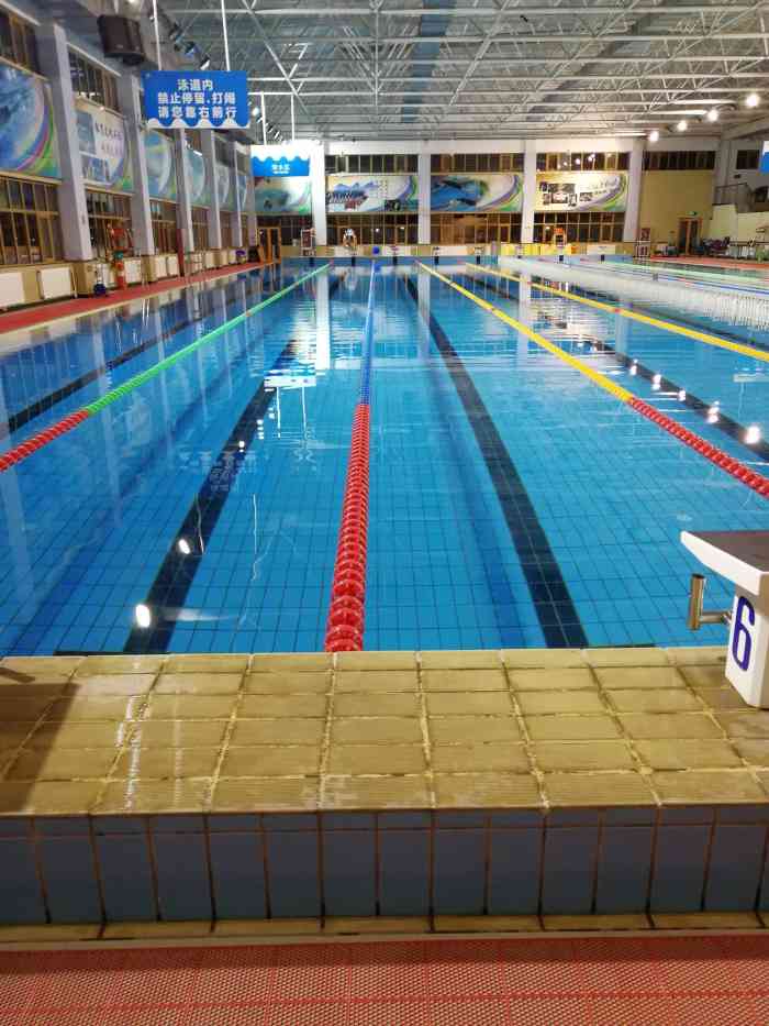 游泳馆-"位置:在良乡体育馆里面,可以停内部停车场."-大众点评移动版