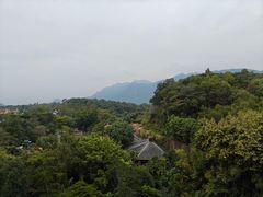 -广州锦绣香江度假别墅(官方直营店)