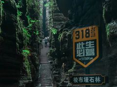 -梭布垭石林景区