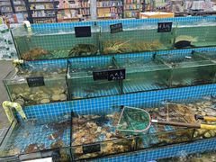 -红月湾海鲜饭店•沙滩海景(双月湾店)