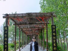 -处女泉风景名胜区