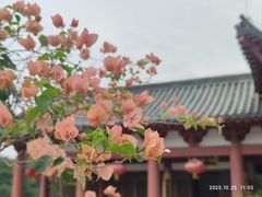 -长安公园