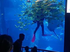 -太平洋海底世界