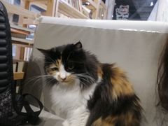 -小时光咖啡馆(开森度假森林店)