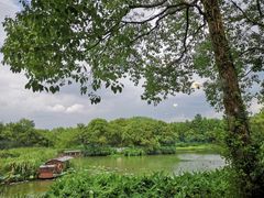 -西溪国家湿地公园