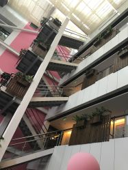 -知爱母婴专护全套房月子会所(新华路店)