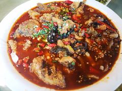 -龙翔山庄雷鸡肉(青城后山泰安古镇店)