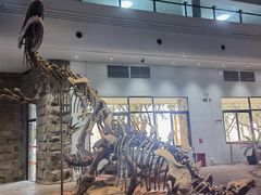 -自贡恐龙博物馆