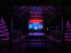 -枫花园汽车电影院(朝阳公园店)